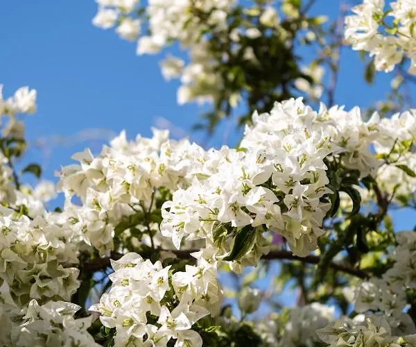Holiday home Mavrianos Kythnos